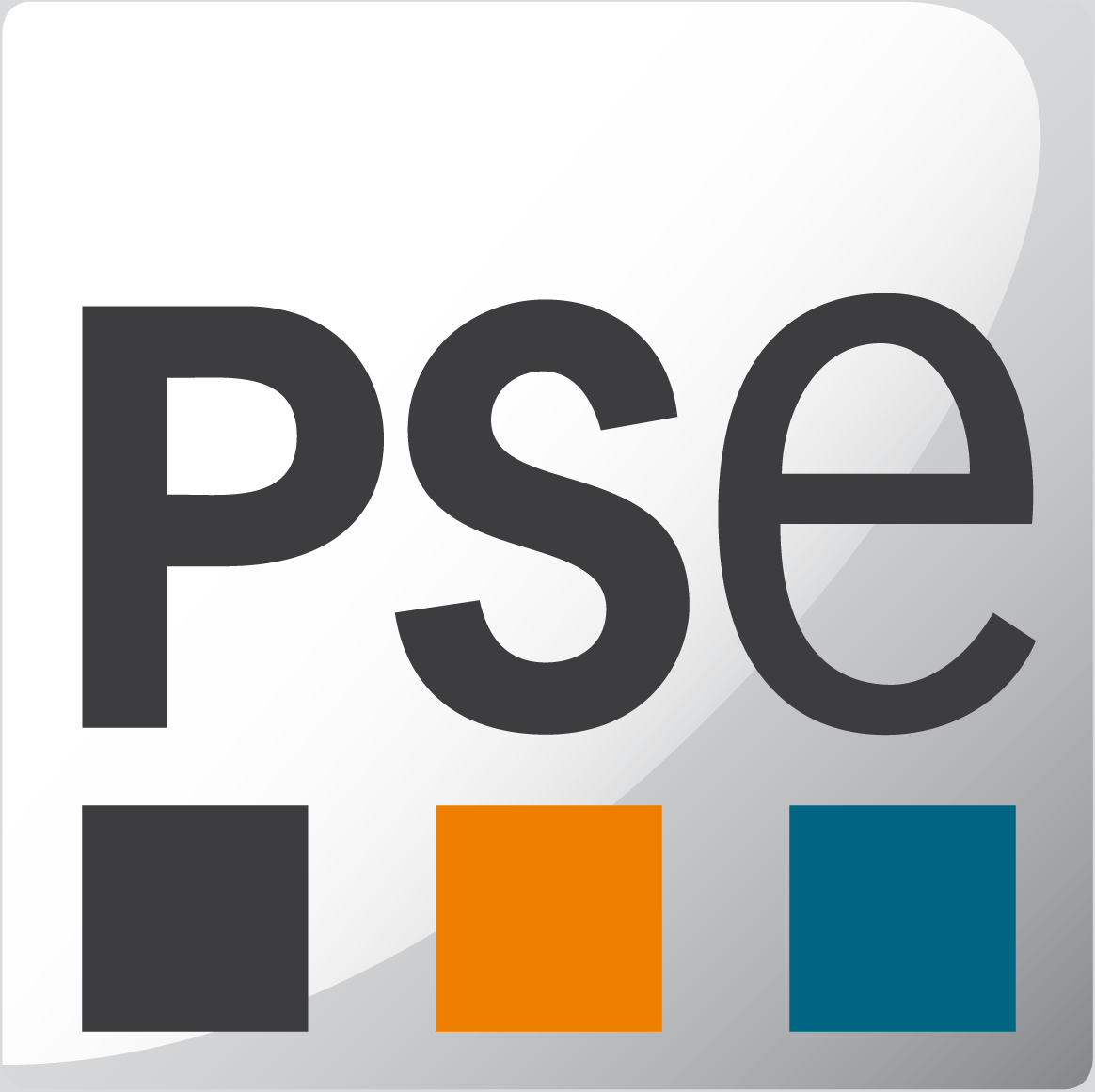 PSE logo